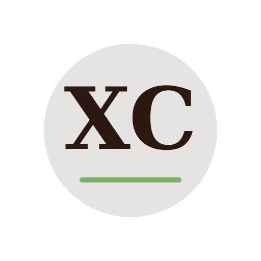 Xavum Chimney Services logo